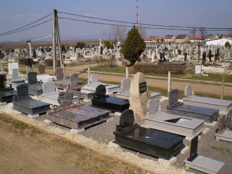sirko1.jpg